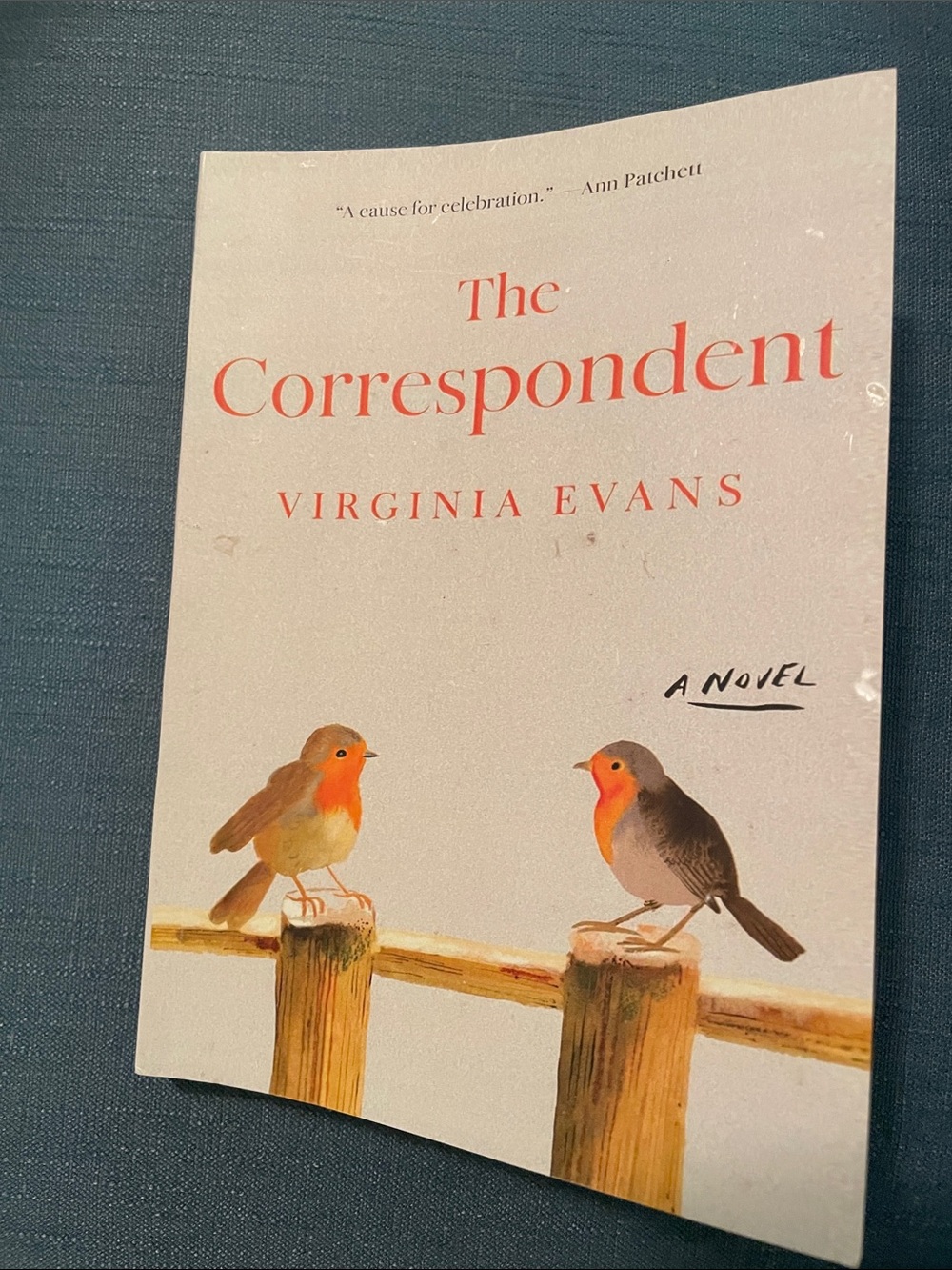 The Correspondent by Virginia Evans -Paperback